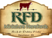 RFD Farms - Miniature Herefords - Columbus, Indiana